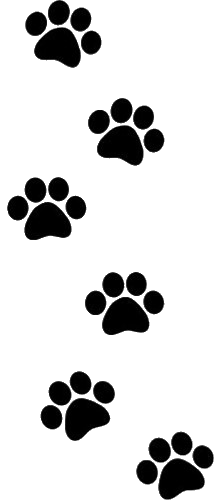 Paw Prints