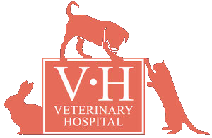 VH Vets Logo