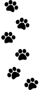 Paw Prints