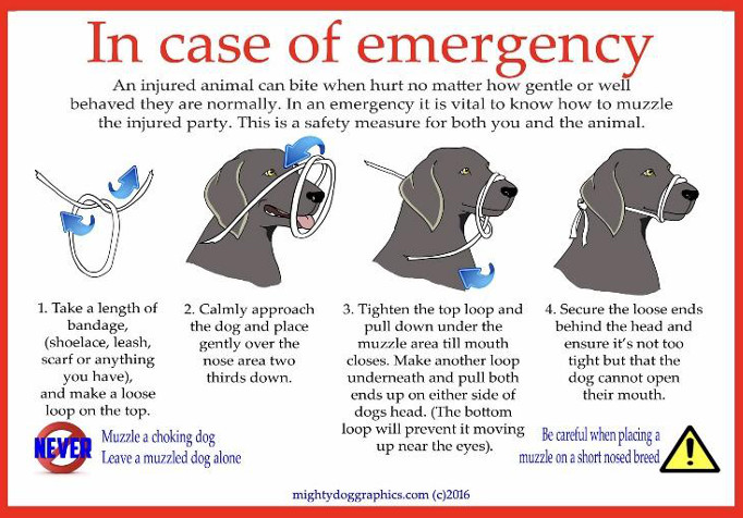 In case of emergency In case of emergency