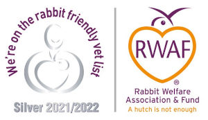 Rabbit Friendly Vet