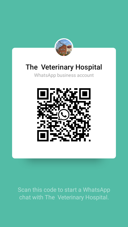 shared_qr_code